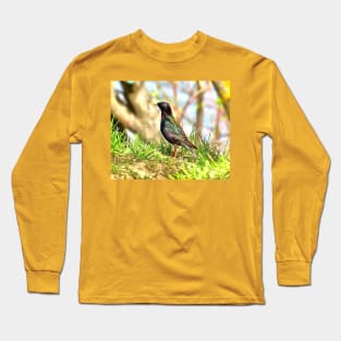 Beautiful starling Long Sleeve T-Shirt